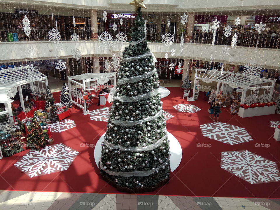 Christmas tree in Hall