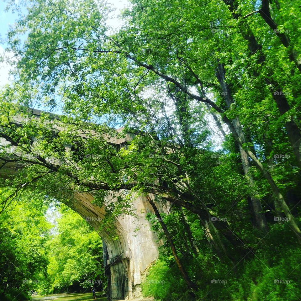 Arched bridge relic