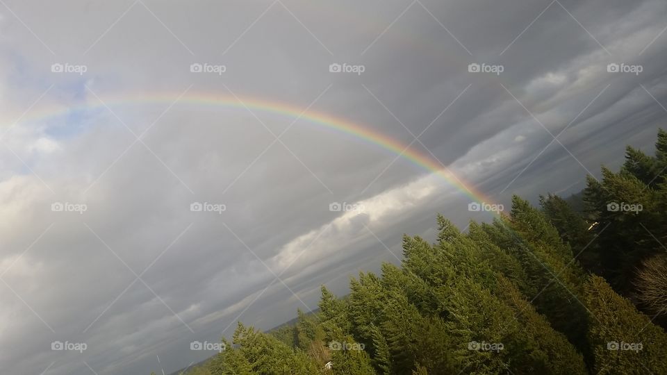 Over the Rainbow