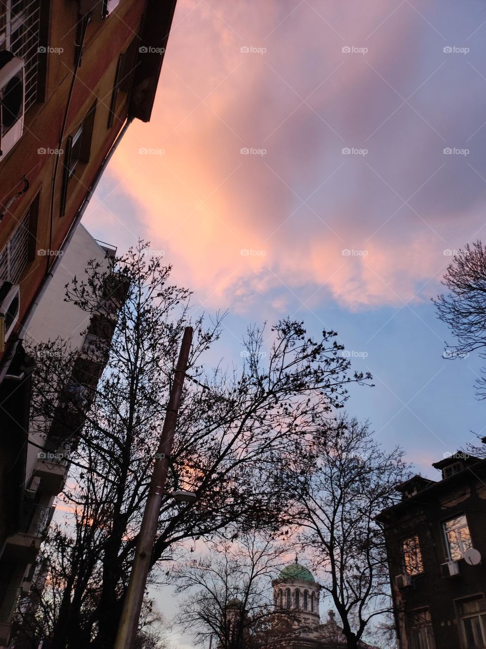 A beautiful cloudy sky before a sunset, with intricate pink and blue colours and trees and buildings all around