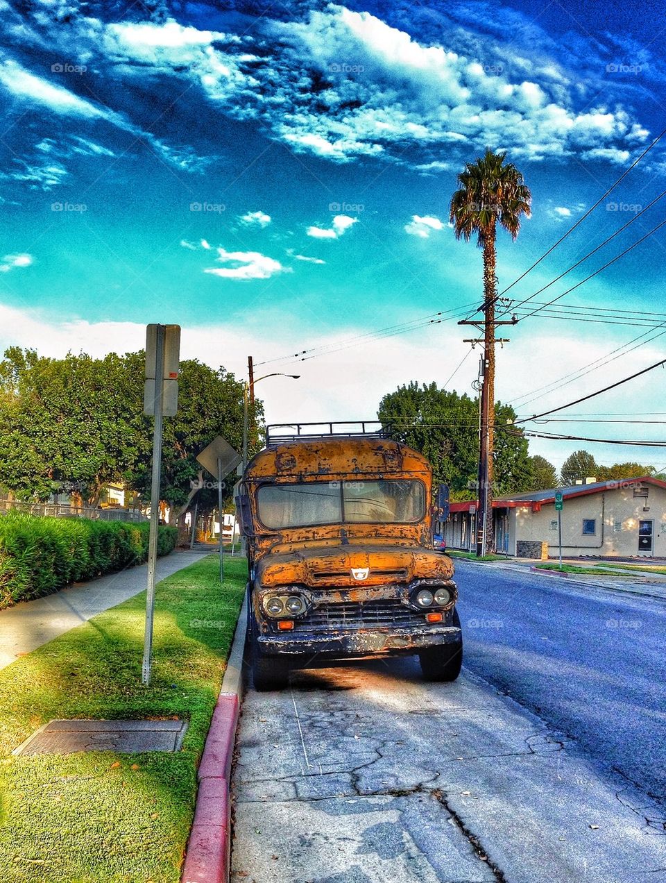 (Old) School Bus