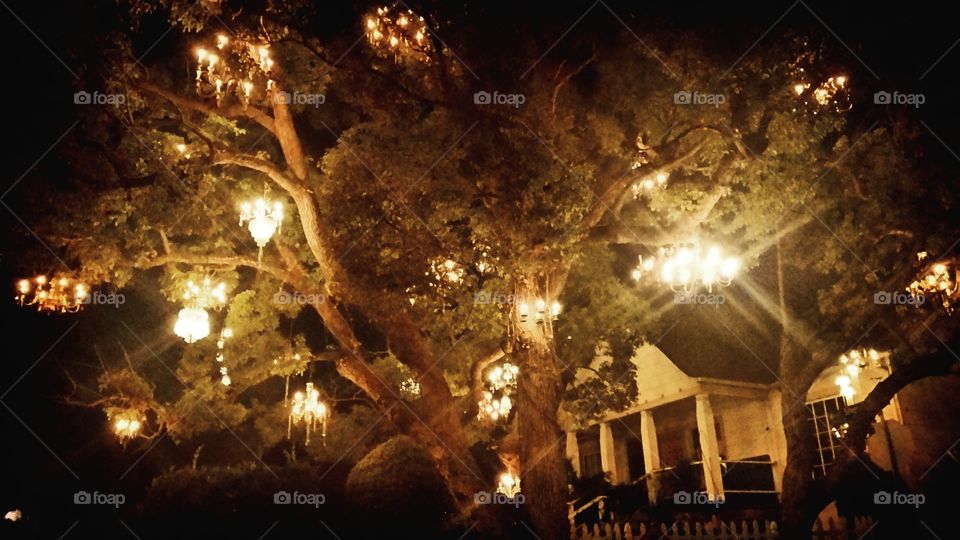 chandelier trees