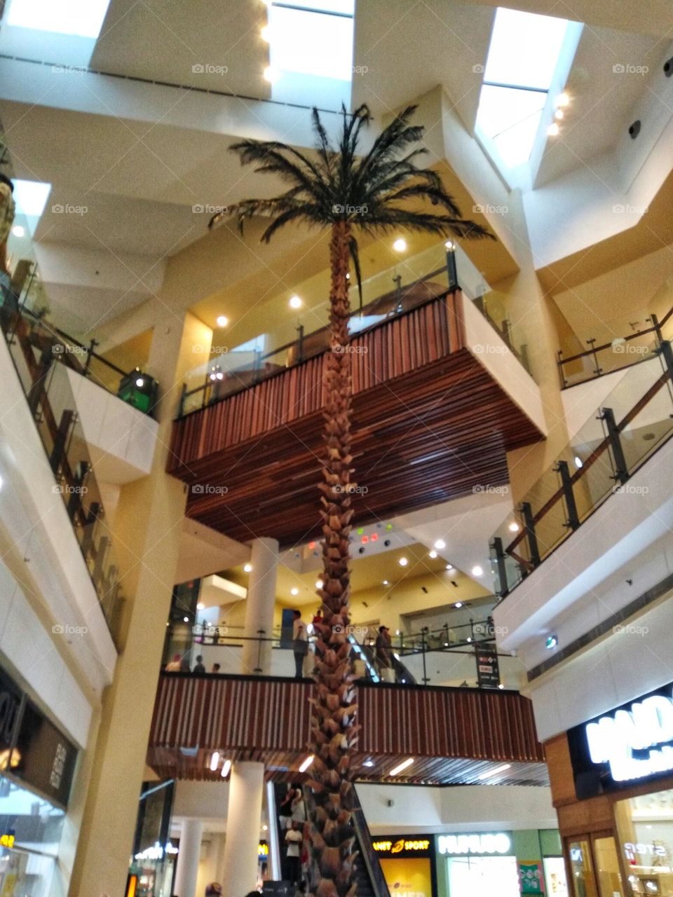 Palm inside mall