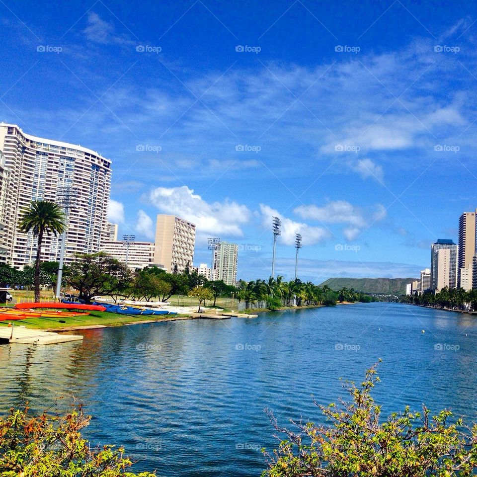 The View From McCully Bridge