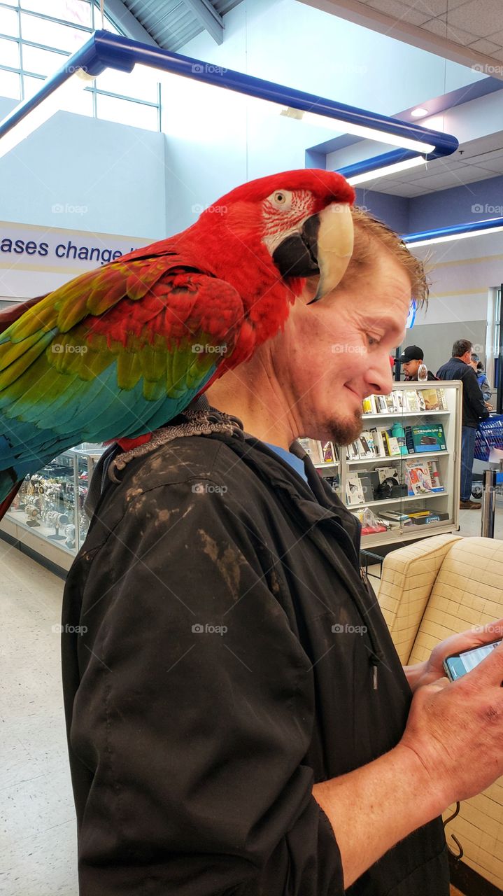 parrot on man's shoulder