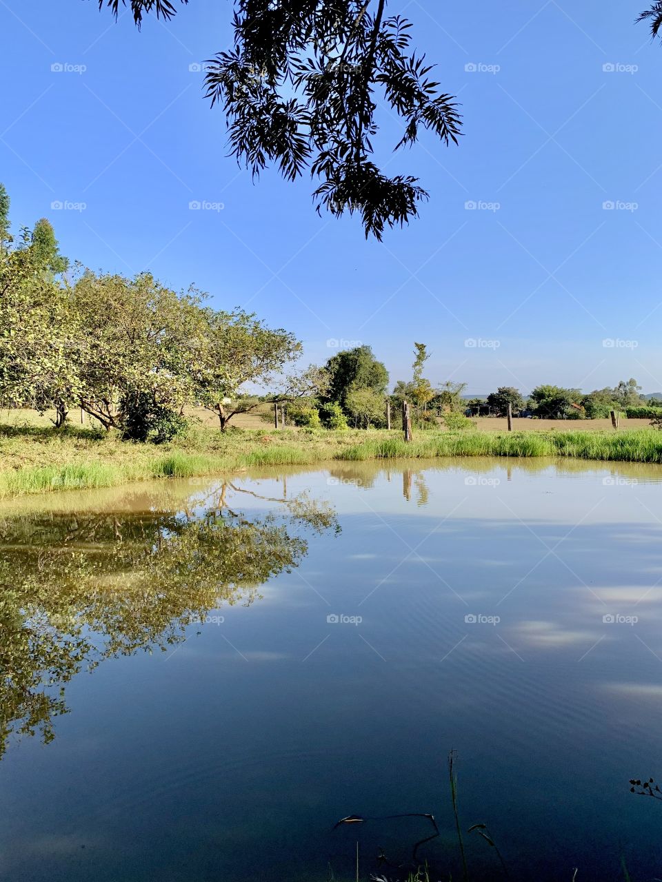 A Nice and beautiful Sunday 