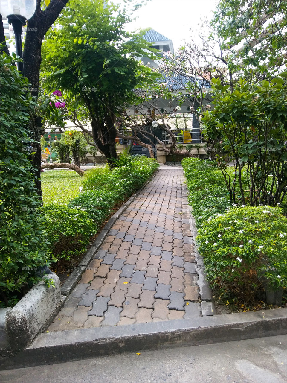 Walkpath across garden