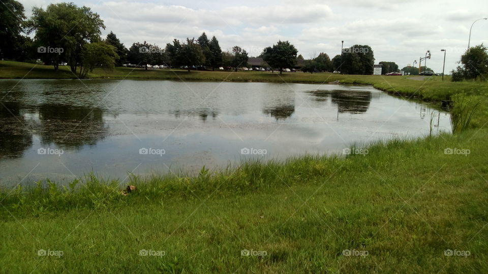 waves and reflecting