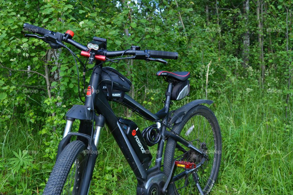 bike on the green green grass
and branch tree in forest, summer time