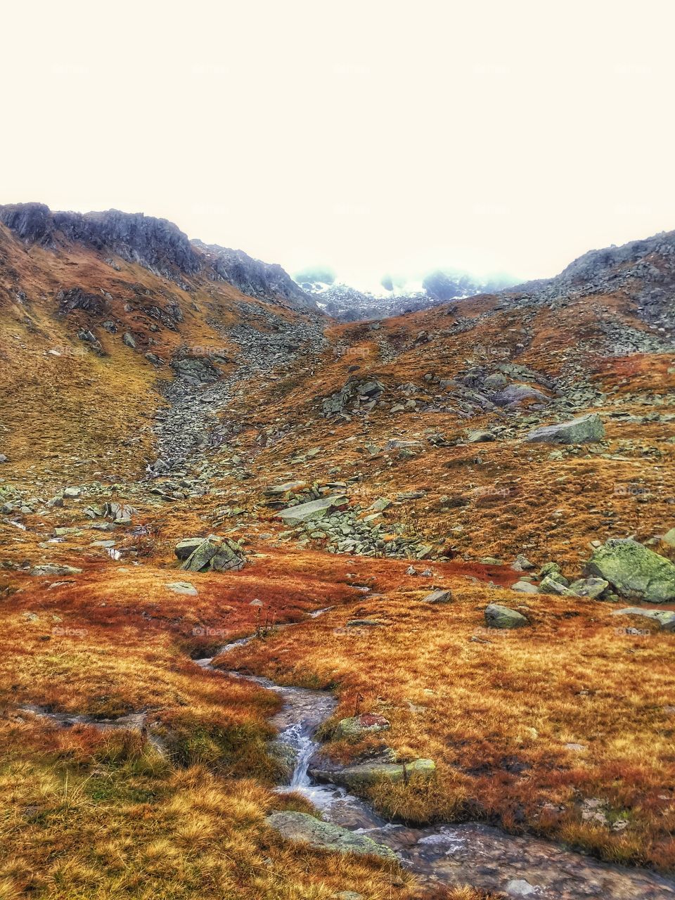 Reaching the Top - South Switzerland