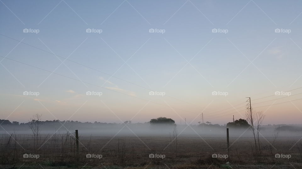 Foggy Morning Drive