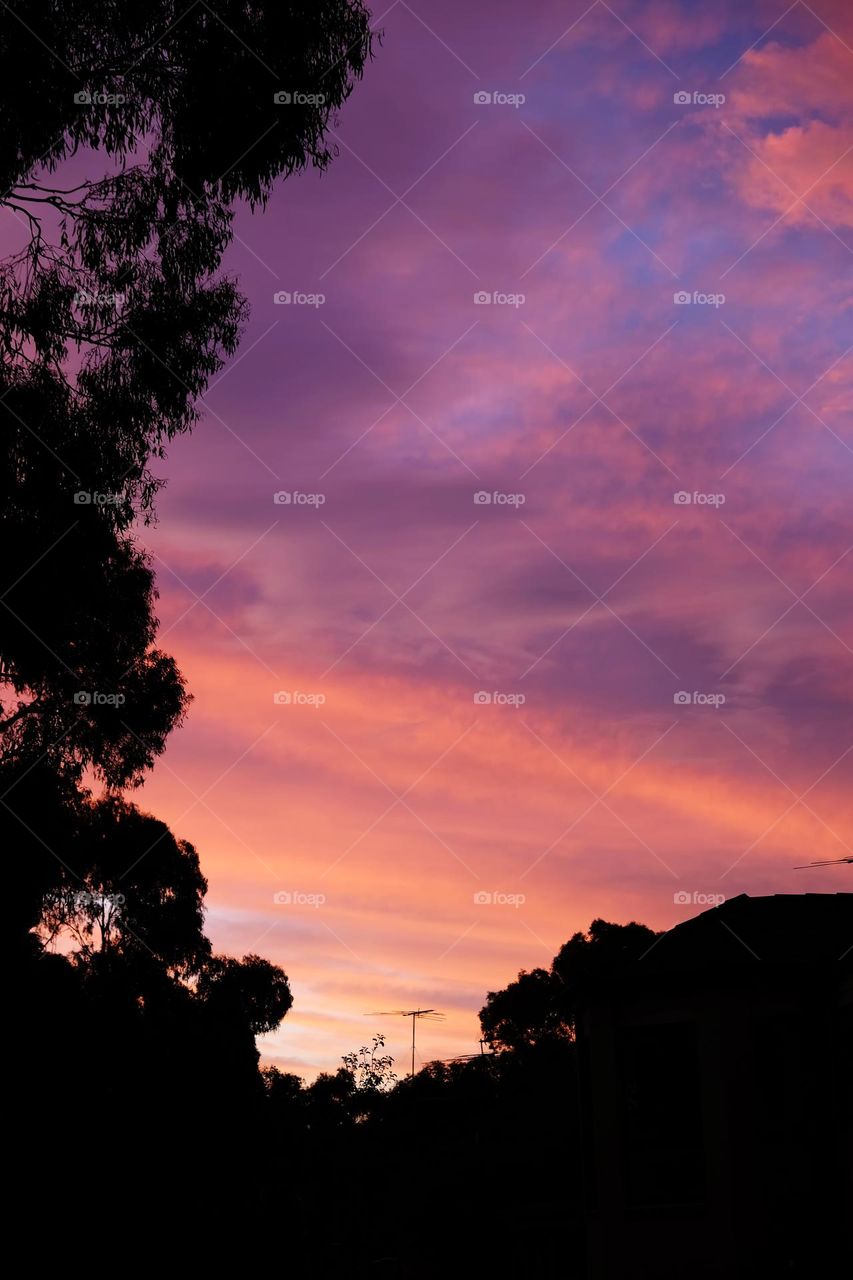 Rare and wonderful clouds