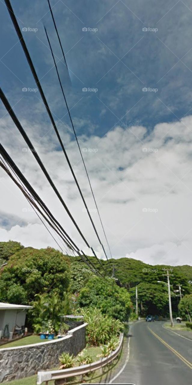 Con đường uống lượng.