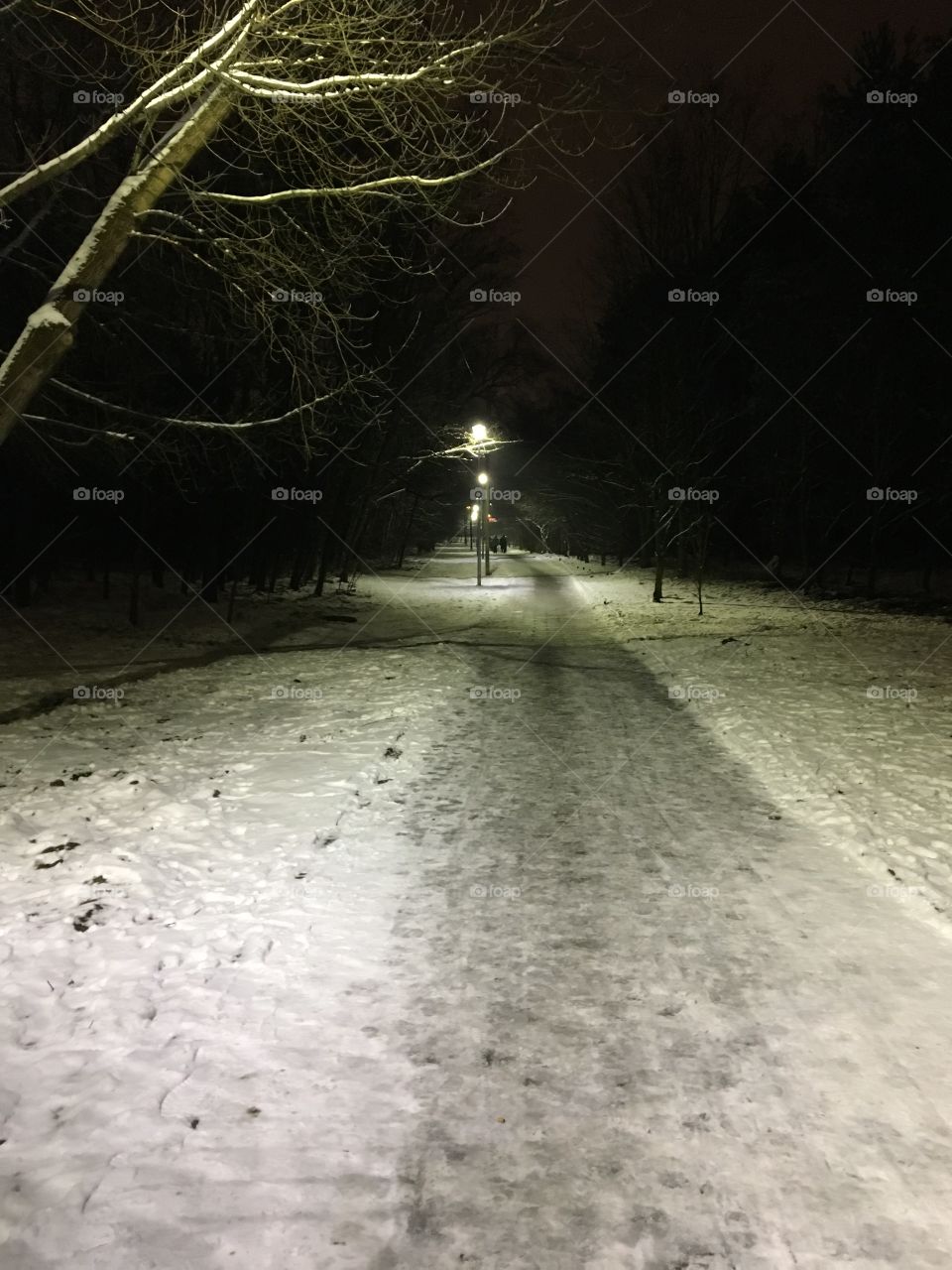 Светлая тропинка через тёмный лес!