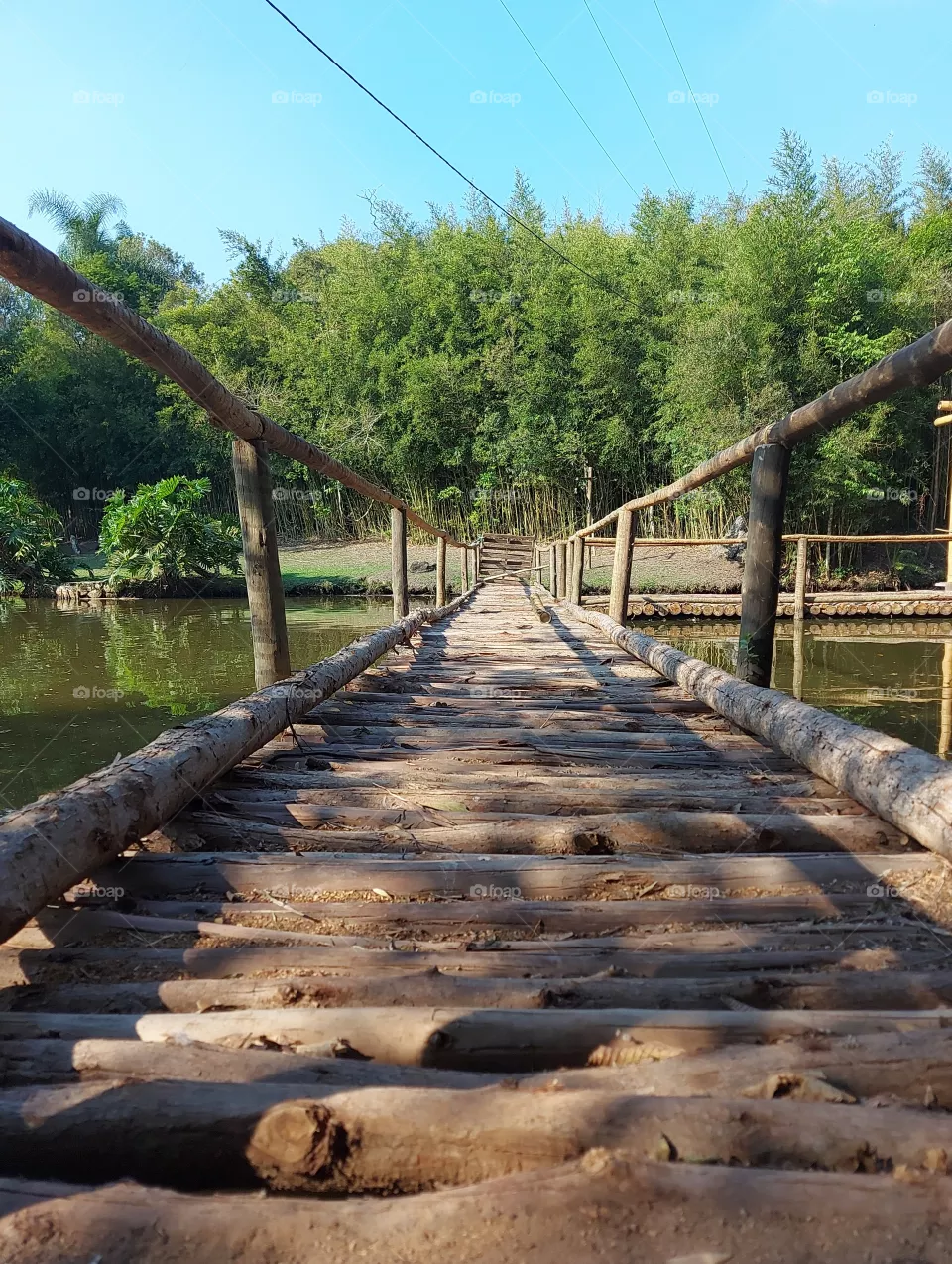 passarela sobre lago
