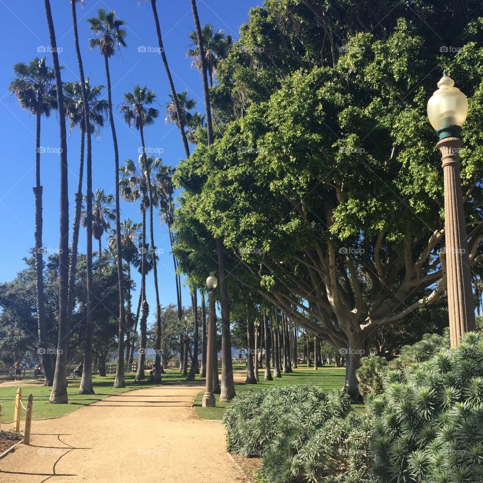 Park in Santa Monica. Taken from a park on a mountainside in Santa Monica, CA.
