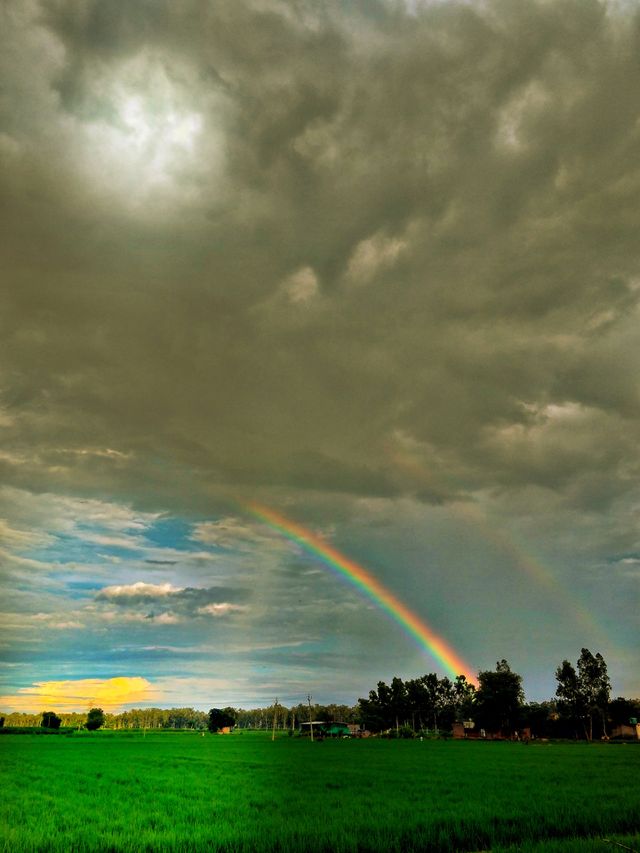 Nature view