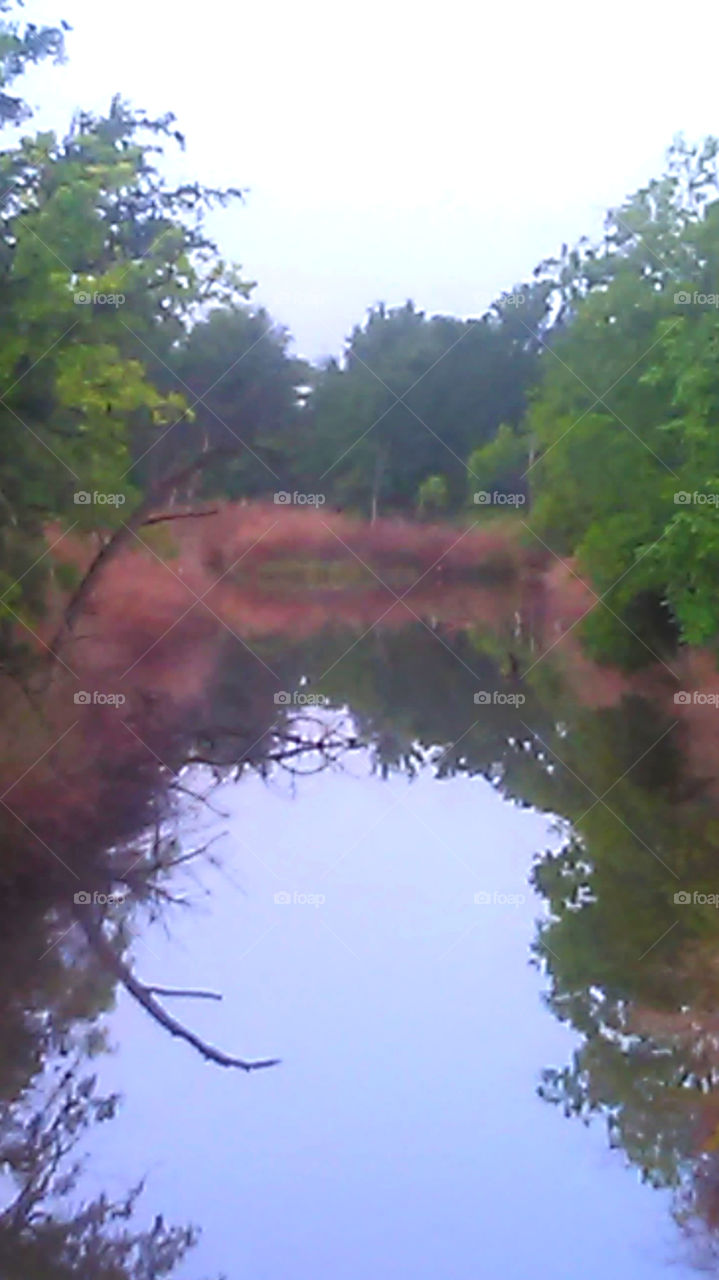 Texas creek water. caught some fish from this creek