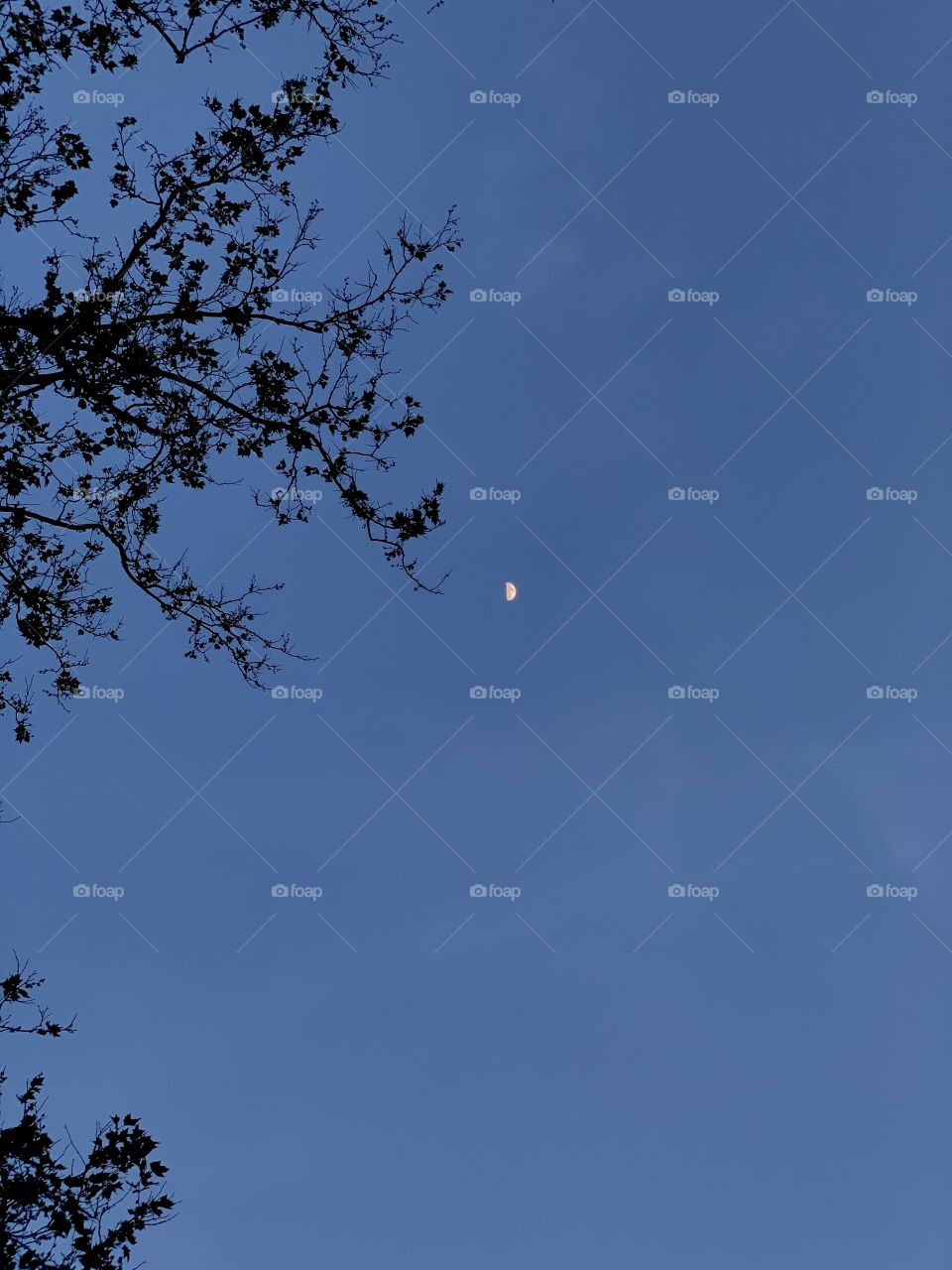 Half moon shot during dusk. Blue sky, sky blue, space. Skies beauty during the night. 