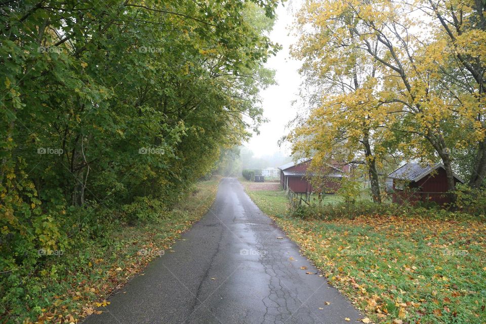 Fall day out in the countryside 