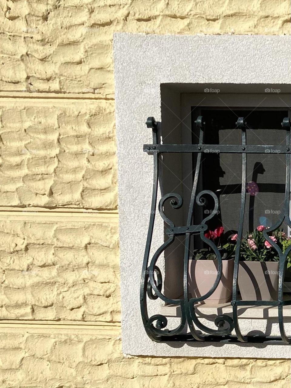 Spring flowers on a windowsill of a yellow house with white trim.