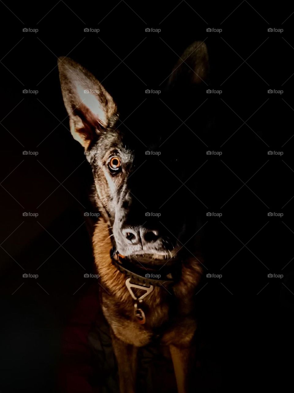 Lurking in the shadows