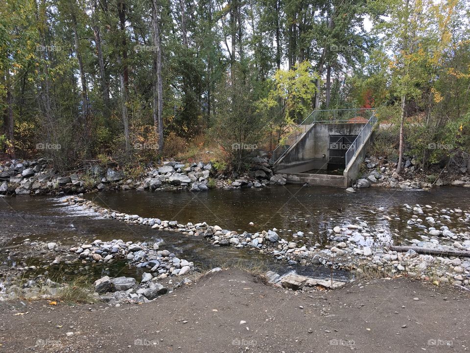 Mission creek