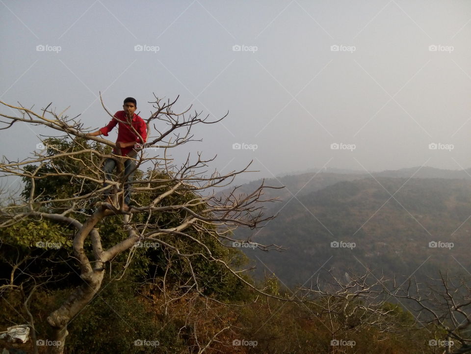 a boy on tree which is on mountains