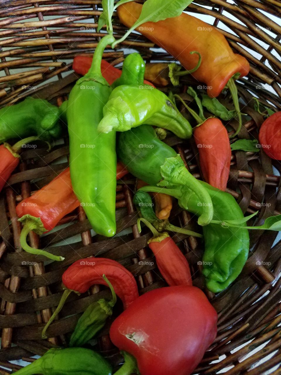 hot peppers