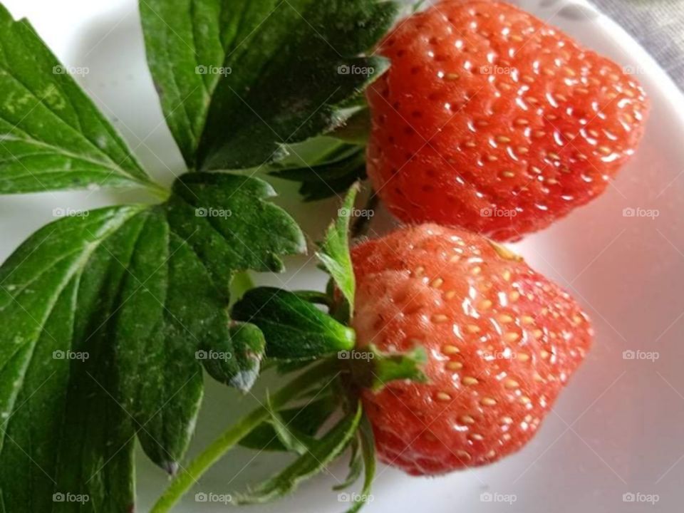 Strawberry picture