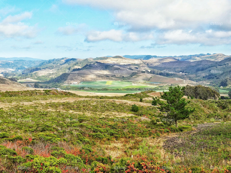 Northern California rolling hills