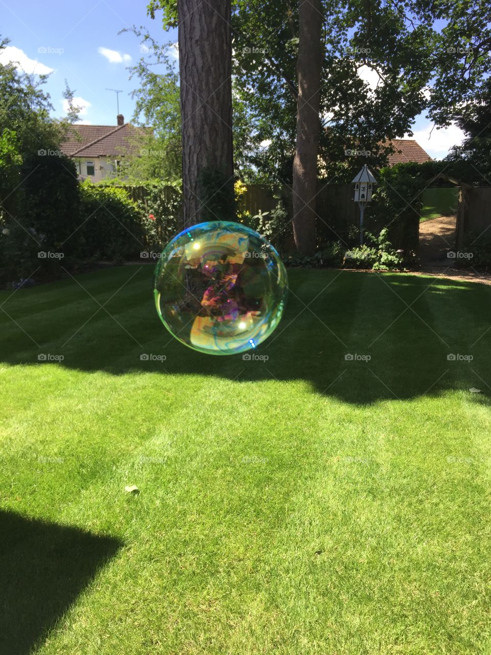 Bubble in garden