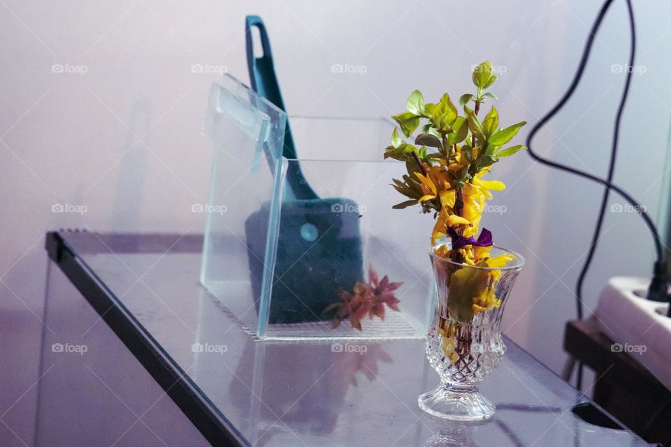 Yellow floweres in a vase