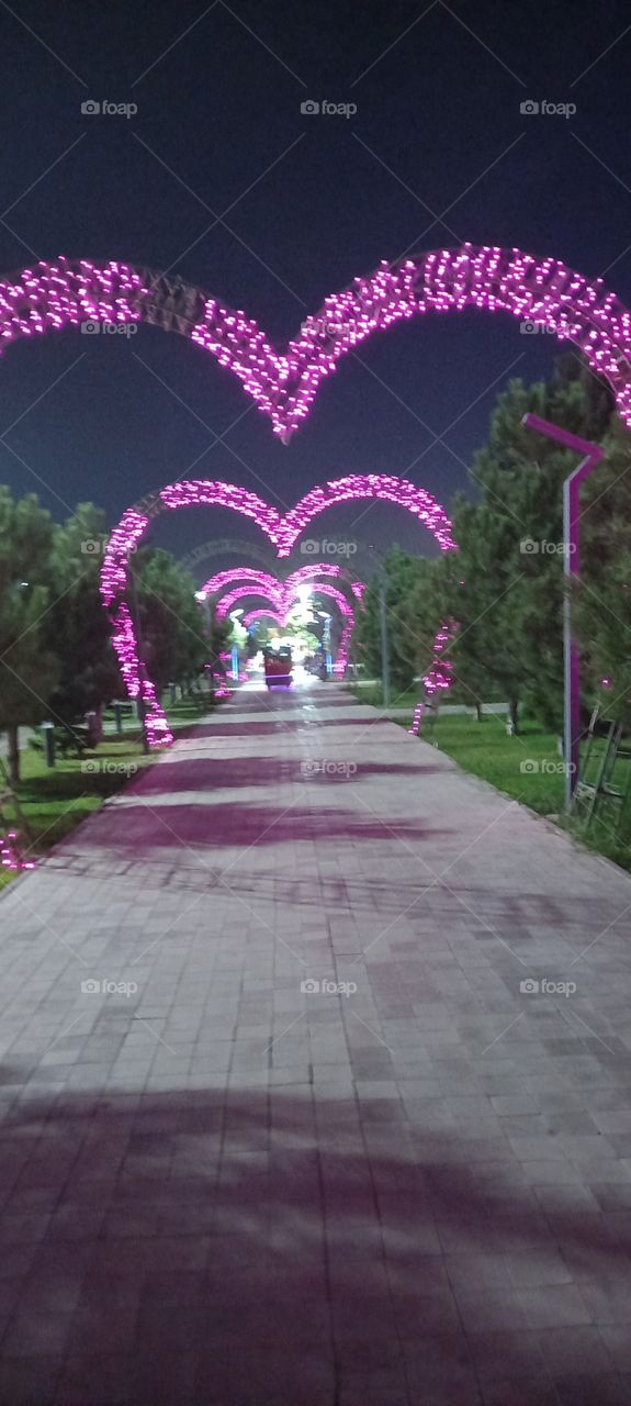 night walk, beautiful scenery, harmony of lights and trees, lovers corridor,