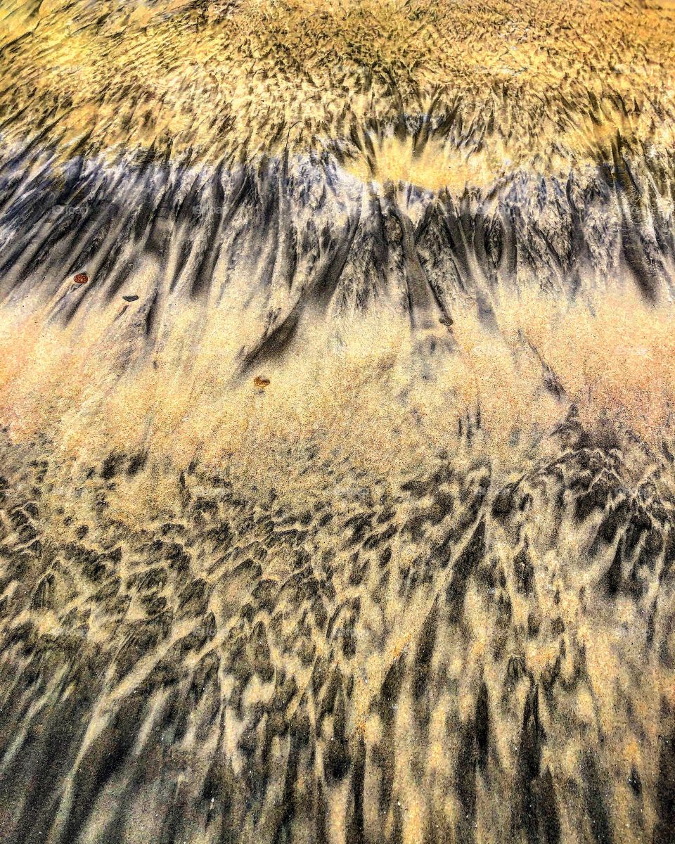 Surreal sand patterns magnetism 