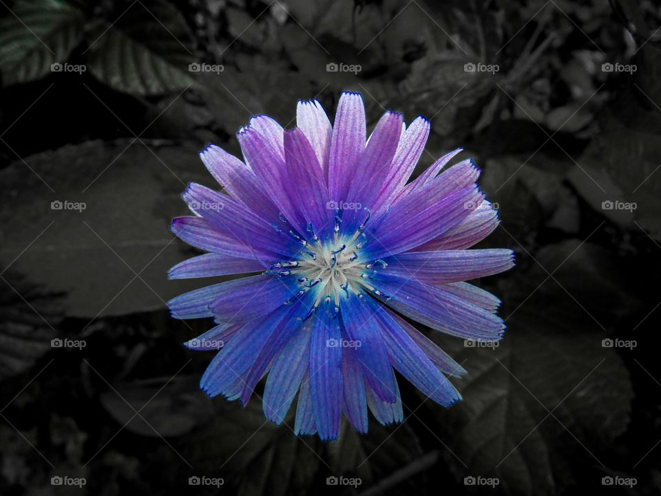 Playing with colors.