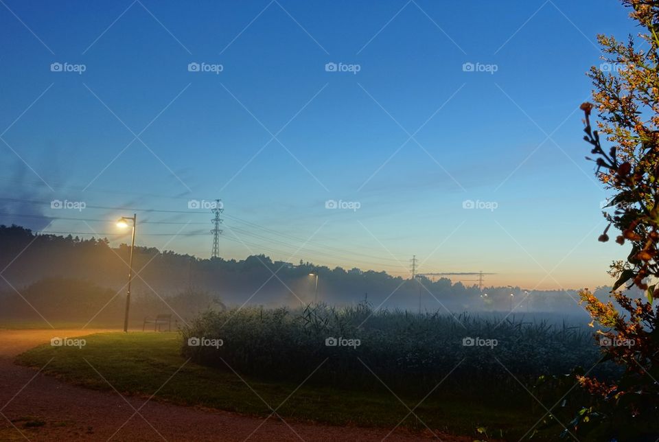 Foggy fields forever