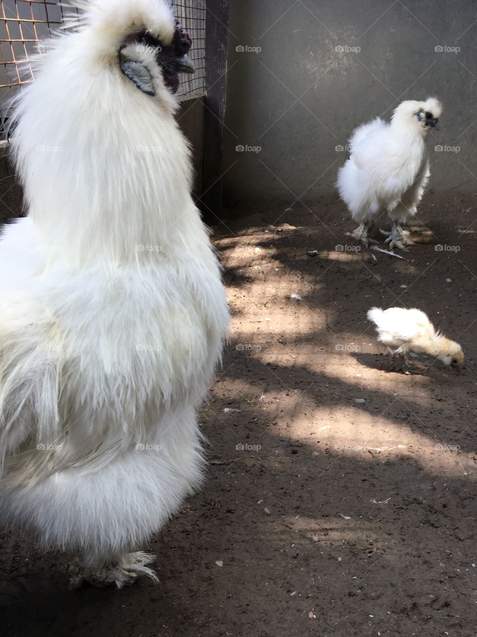 Small, Medium and Large