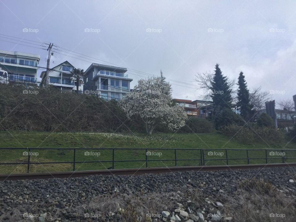 Beach Homes in White Rock 