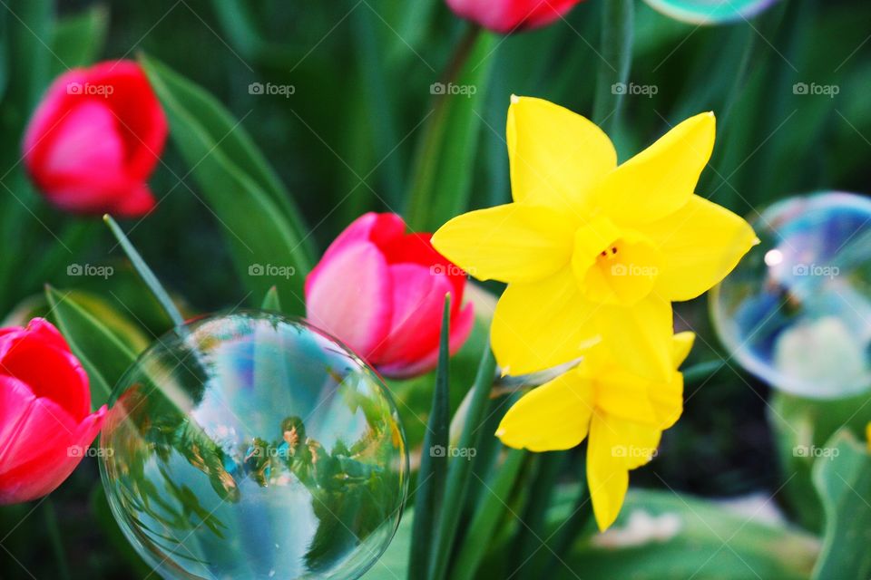 Try combining soap bubbles with flowers. The effect will amaze you!