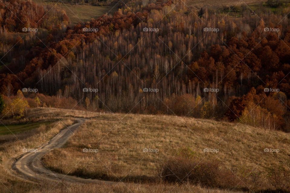 Autumn rural landscape 