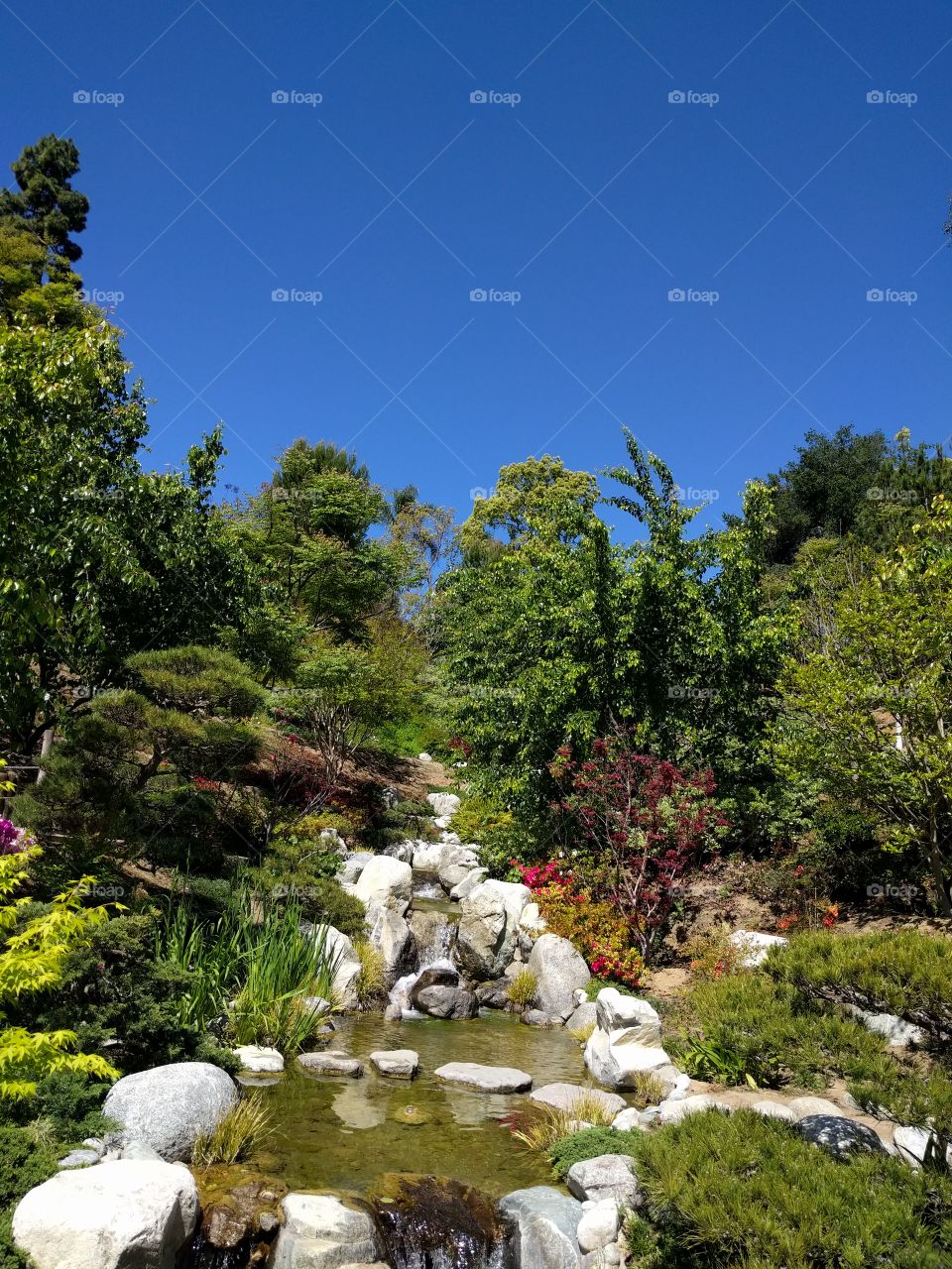 Japanese Garden view
