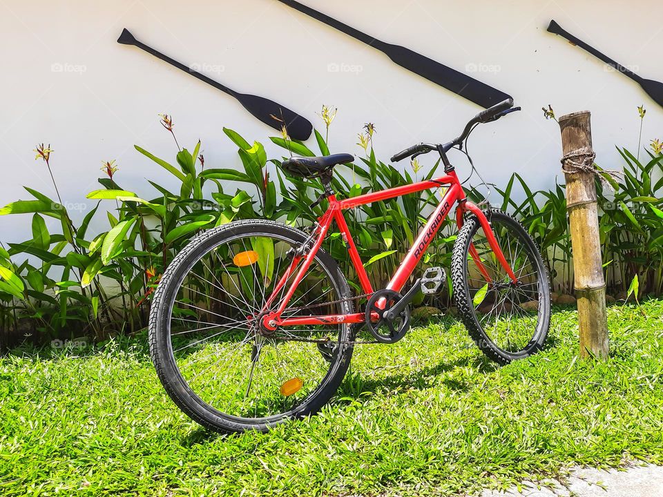 A red Bicycle in a Meadow