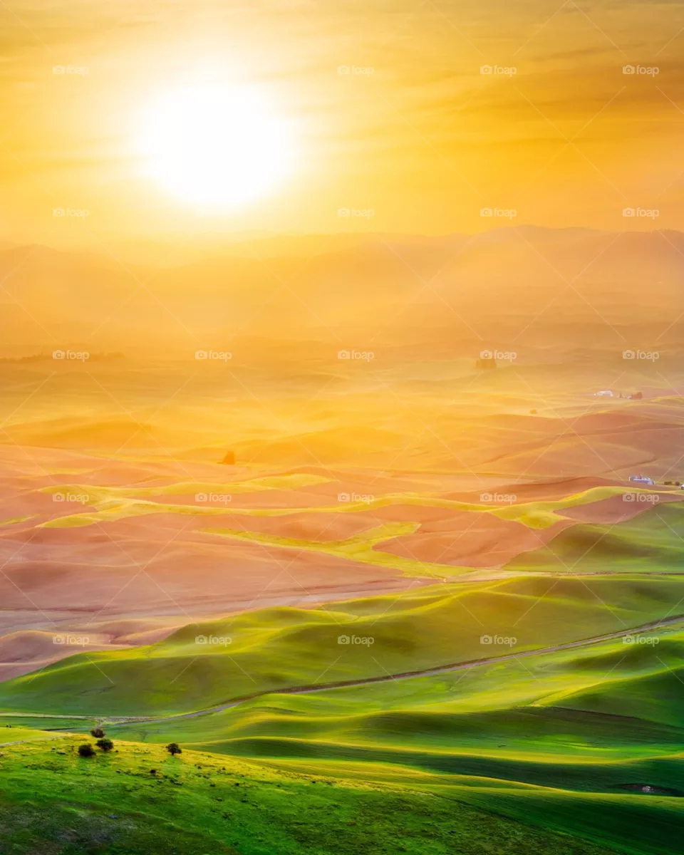 sun rise
