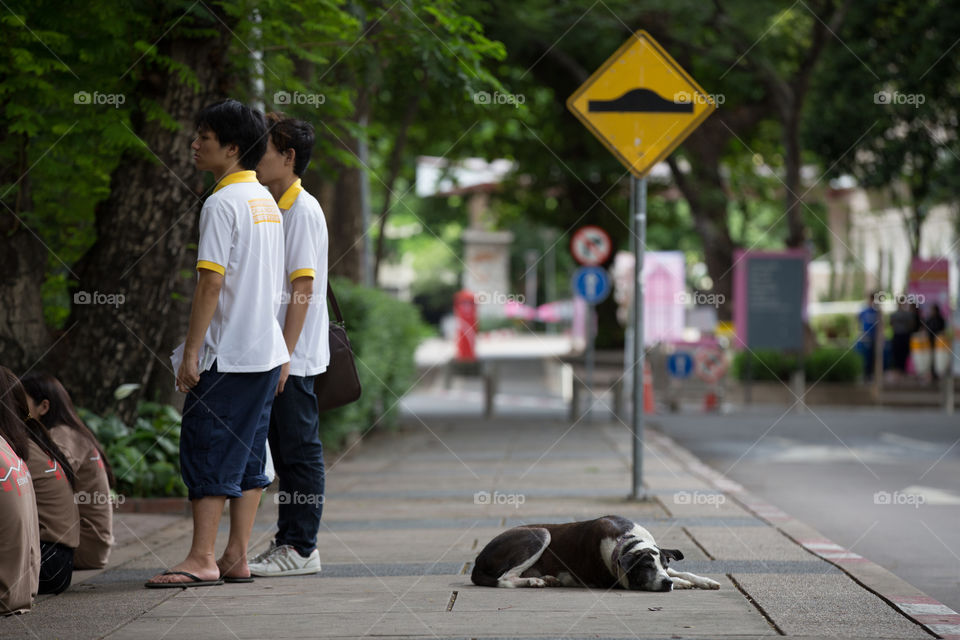 Dog and people in the sidewalk 