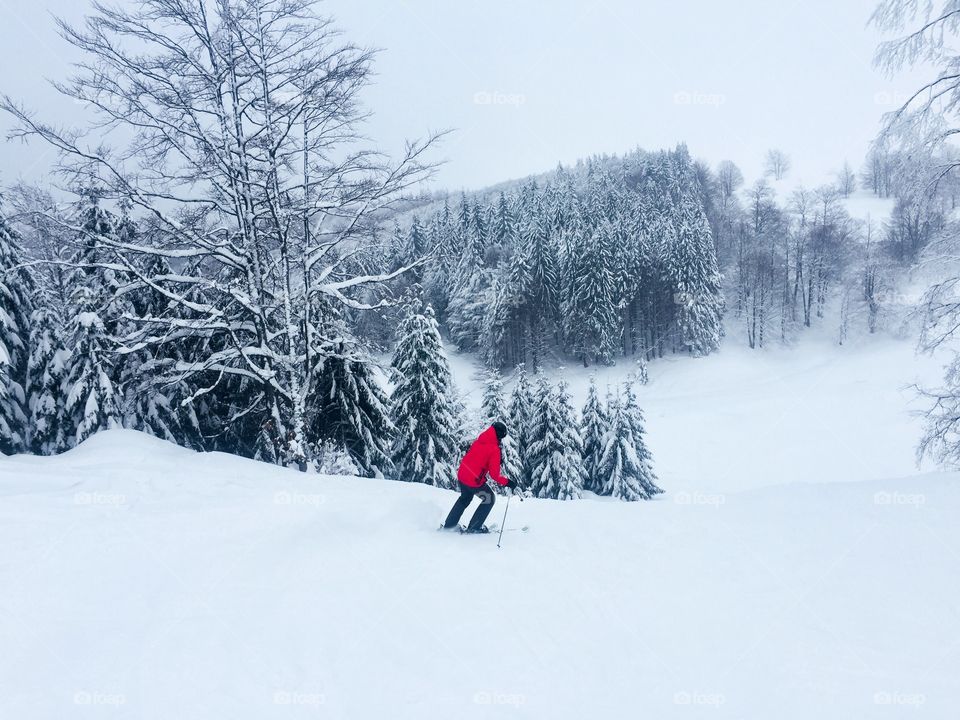 Skier in red ski costume on the ski slope surrounded by snowy forest