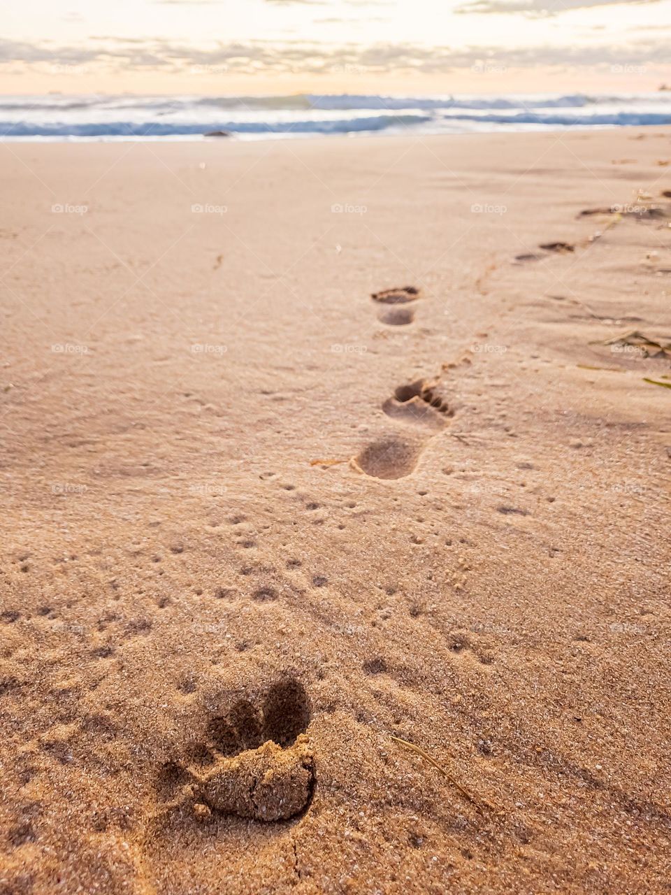 footprints