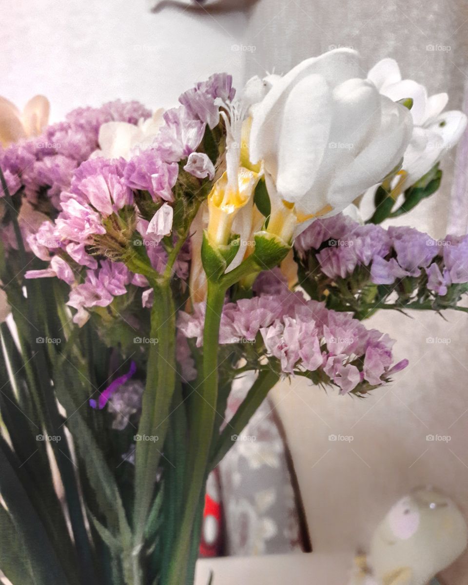 spring summer indoor flowers