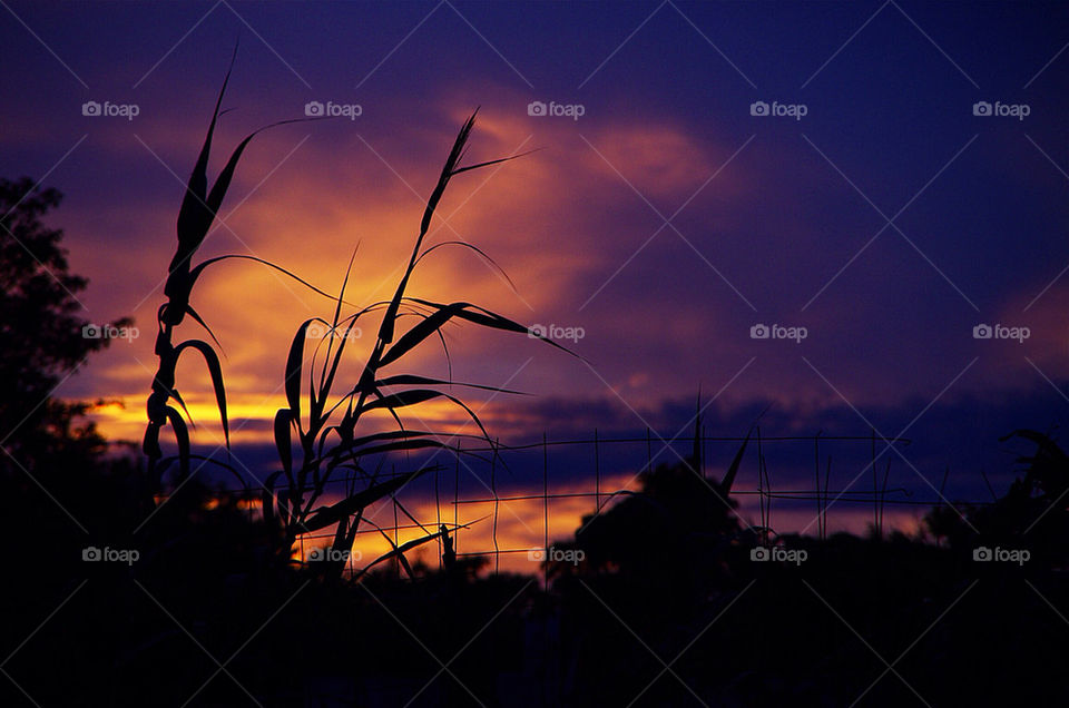 sky colors sunset clouds by laszlophoto