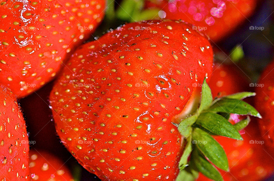 red fresh strawberry produce by gp56